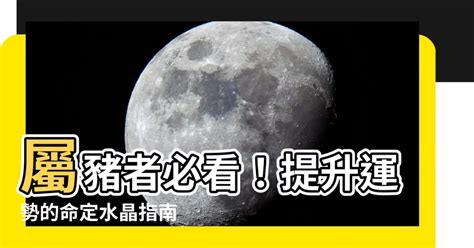 屬豬適合的樓層|【屬豬房子方位】屬豬者必看！房子方位風水全解析，招財旺運吉。